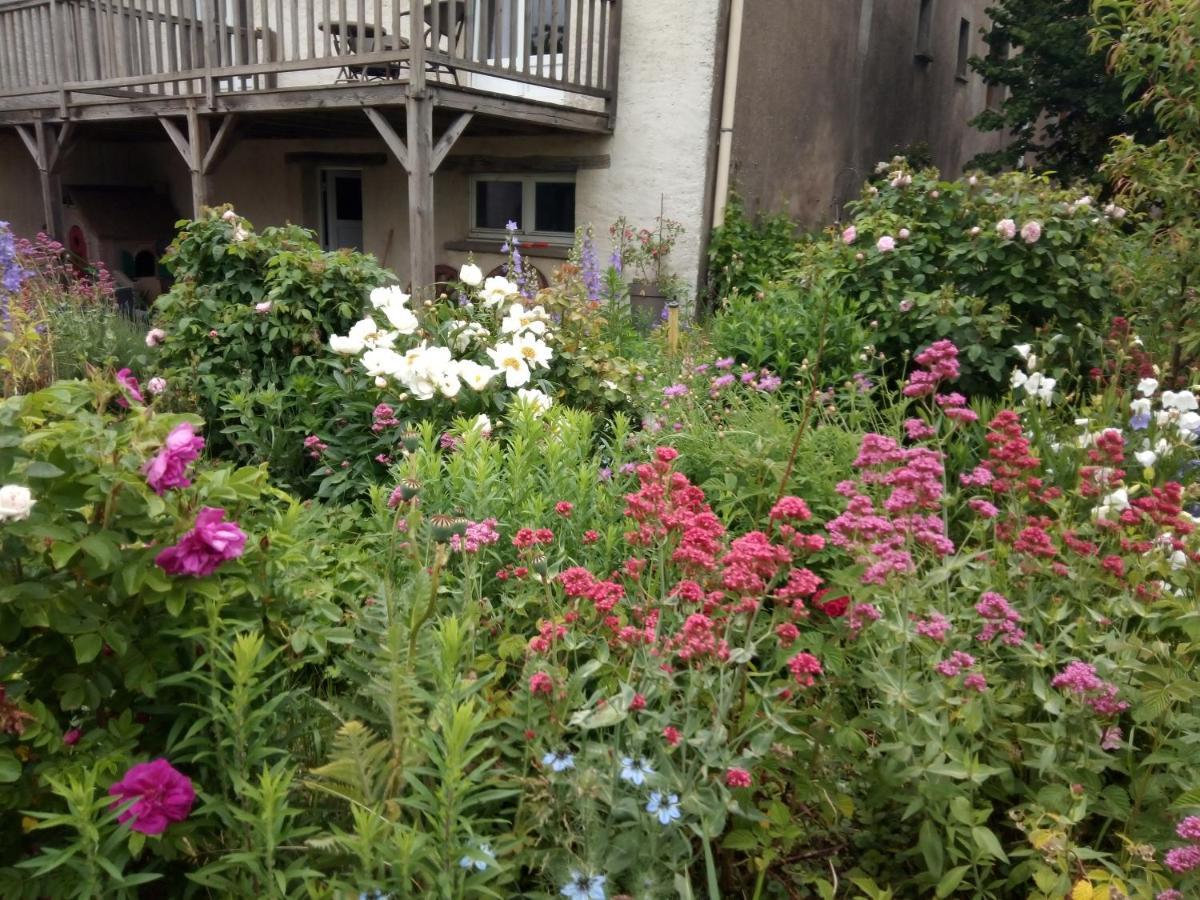 La Grange Aux Hirondelles Bed and Breakfast Athienville Εξωτερικό φωτογραφία